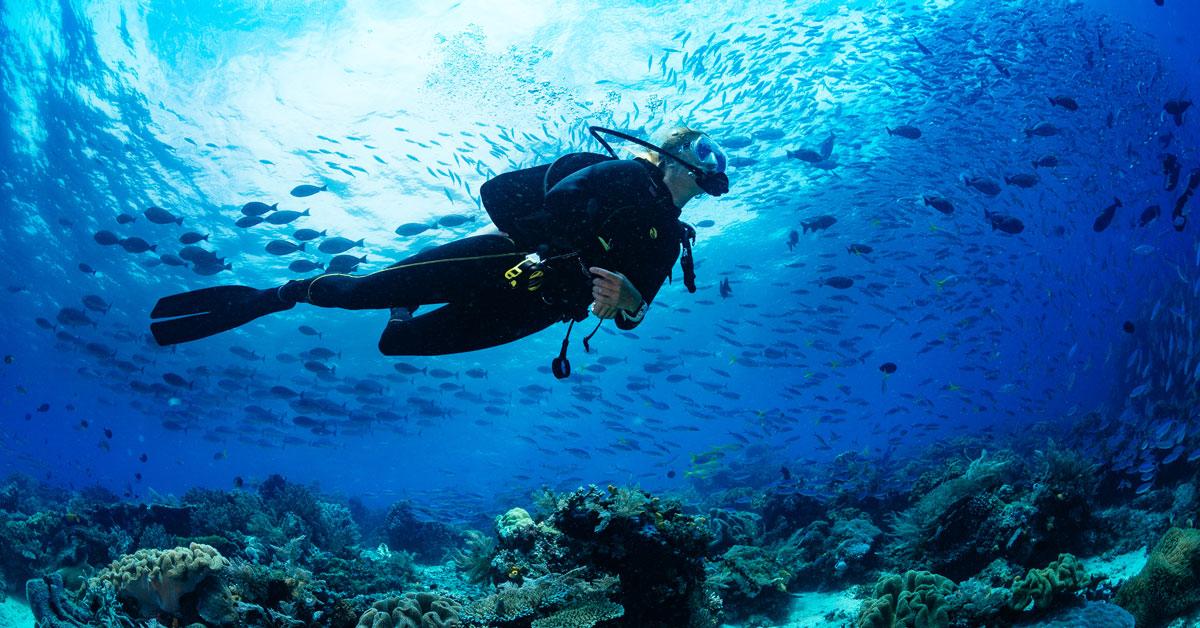 Diving Experience – Esplora il mondo sommerso della Sicilia